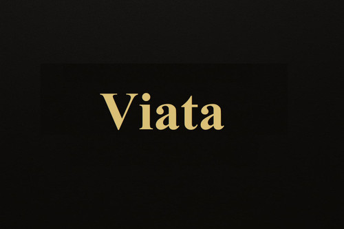 محصولات ویاتا (Viata) سیستم صوتی خودرو
