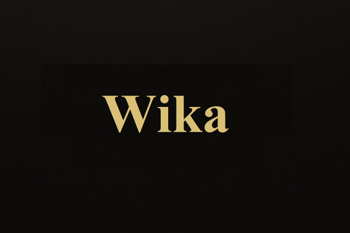 محصولات ویکا (Wika) سیستم صوتی خودرو