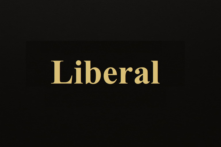 محصولات لیبرال(LIBERAL) سیستم صوتی خودرو