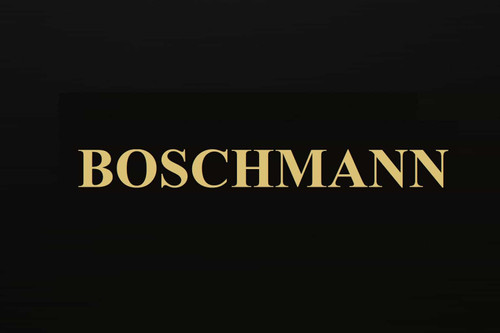 محصولات بوشمن (BOSCHMANN)سیستم صوتی خودرو