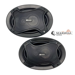 بلندگو بیضی ساندیا مدل SP-6910